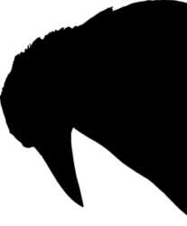 Eisenhawer Tech logo